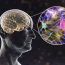 곽재혁신경과의원 이미지