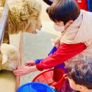 신곡 경기태권도 네이버블로그