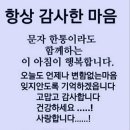 염*일