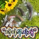 더야무지개 이미지