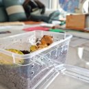 꼼지락 공예 놀이터 | 25년 08월 오늘만 같아라..!