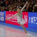 쇼트 이미지