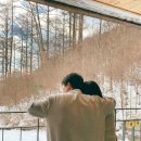 무주 덕유산자연휴양림 향나무 잣나무 겨울숙박 후기 최고다 여기