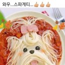 과천예일의원 이미지