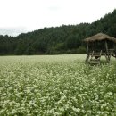 향수목장2 이미지