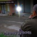 휘피