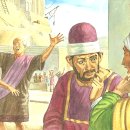 (주)도담에이치앤에프 | 몰몬경 야곱서 5:44 &#34;이 나무를 대신 심고자&#34;