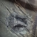 행복카센타 이미지