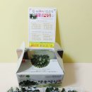 영광비닐포장