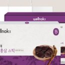 웰녹