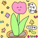 사북공공도서관 이미지