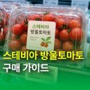 봉양농협식품가공공장 | 스테비아 방울토마토 구매 가이드: 세도농협 공장 준공 소식과 신선한 제품 고르는 법