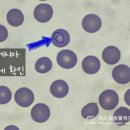 중곡동물병원 이미지