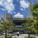 멕켄양념치킨 이미지