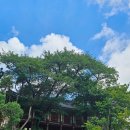 하일할머니 이미지