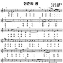 김용만 / 청춘의 꿈 악보 이미지