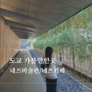 신선이용원 | 도쿄 오모테산도 네즈 미술관 예약방법 네즈카페 후기
