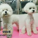 에스터미용실 - 경주시 | 에스터미용실