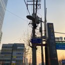 워싱턴짐 이미지