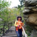 The Encore 이미지