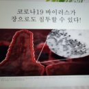 닥터휴젠