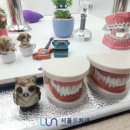 서울룬치과의원 이미지