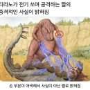 내세상