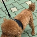 마크로24시 동물병원 이미지