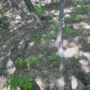 당골농장 이미지