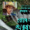 빨간장화
