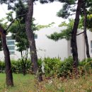 우2동-12 이미지