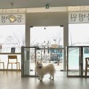 에드워드동물병원 이미지