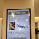 뉴스타정형외과의원 | 광주손가락관절염 손목통증치료 잘하는 전문병원 후기