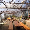 동빈농장 이미지