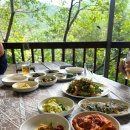 평지못(1) 이미지