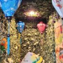 용산-373 이미지