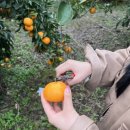 서광리-11 이미지