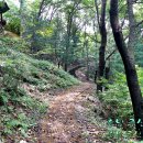 절골체육공원 이미지