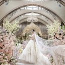 일상을 담는 인스타그램 | 메종드아나하 본식스냅 라벨드쥬 계약 후기 📷 (짝꿍모집중)