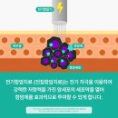 뉴로동물암센터 이미지