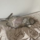 삼천수약국 이미지