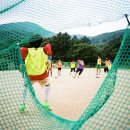 보림칼라 네이버블로그