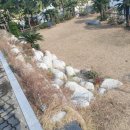 어우름스파애견펜션 이미지