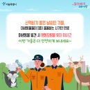 서울시 야생동물 구조관리센터 네이버블로그