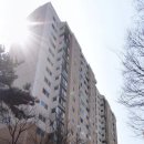 중앙공원.양지마을금호아파트 | 양지마을 1단지 금호아파트는 왜 주목받을까? 수내역 생활권과 재건축 기대 분석