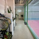 헤이테니스스튜디오 | 마곡 테니스 헤이테니스 스튜디오 체험레슨 후기🎾