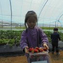 임영택농장 이미지