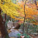 금강공원2 이미지