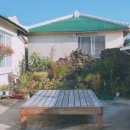 알로하제주 이미지