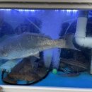 아침바다 2호점 이미지